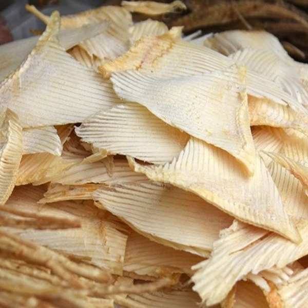 Bào ngư vi cá giá sỉ