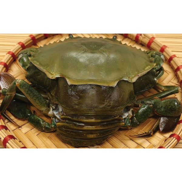 Cua lột Cà Mau giá sỉ 