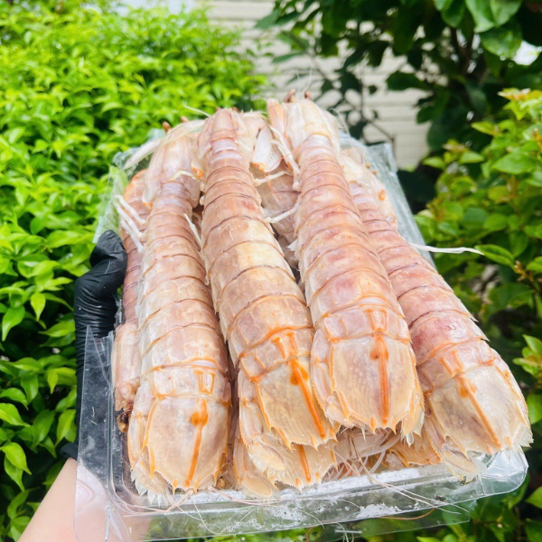 Tôm tích indo giá sỉ