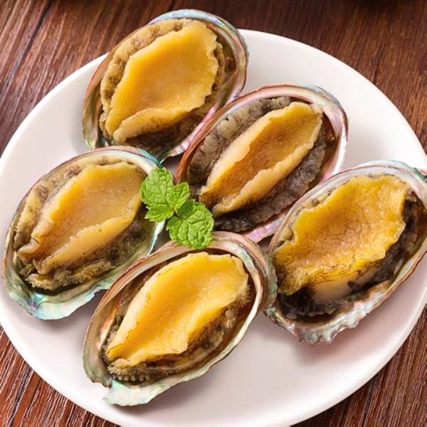 Bào ngư vi cá giả sỉ