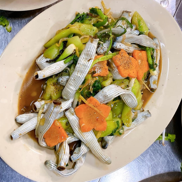 Sá sùng giá sỉ