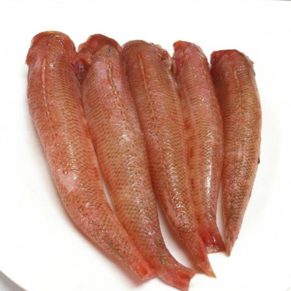 Cá bống đỏ biển giá sỉ