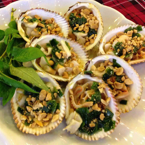 Sò dương giá sỉ